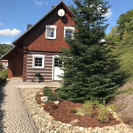 Modern Chalet Na Zlatniku Zlata Olesnice  Extérieur photo